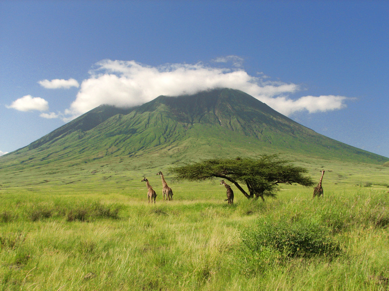 Tansania ─ auf der Pirsch am Kilimanjaro