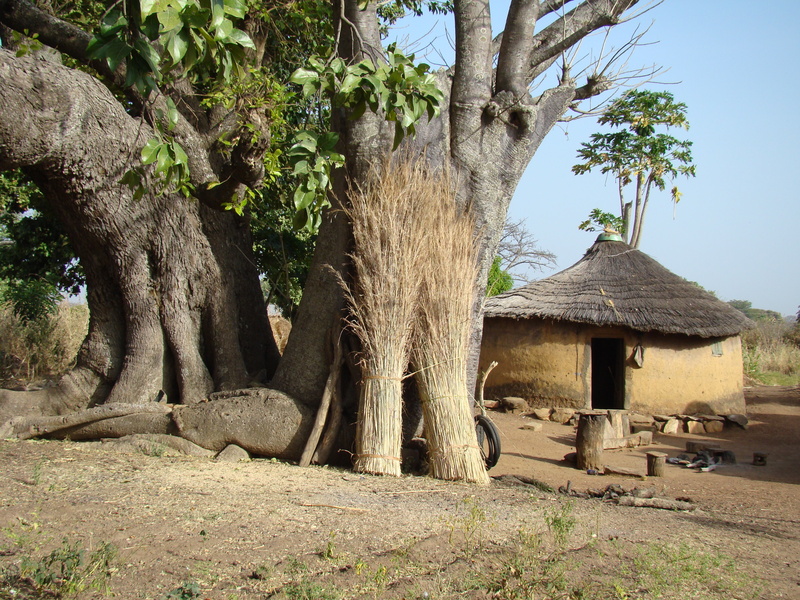 Ghana, Togo und Benin