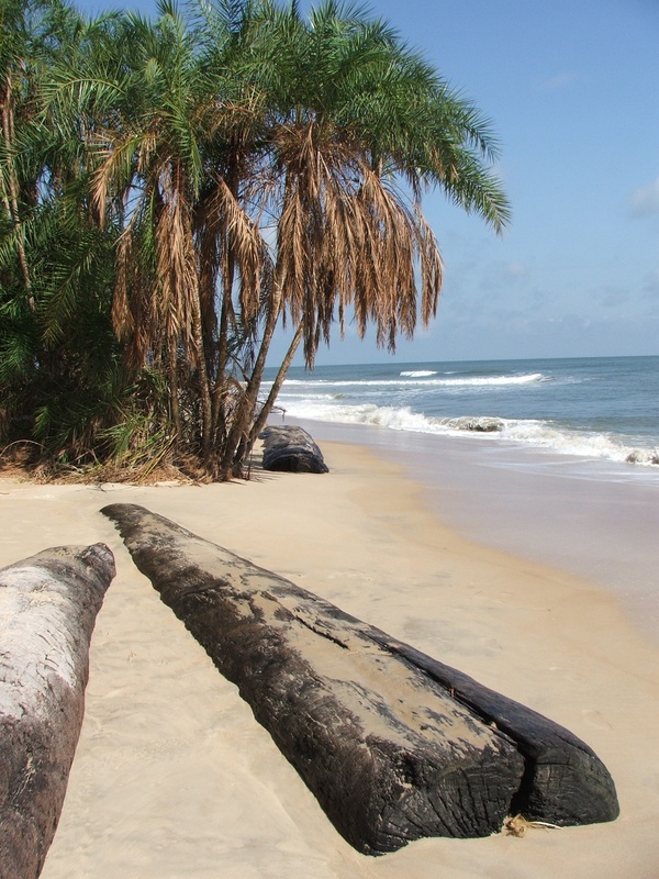 Gabun - Tierparadies zwischen Dschungel und Meer