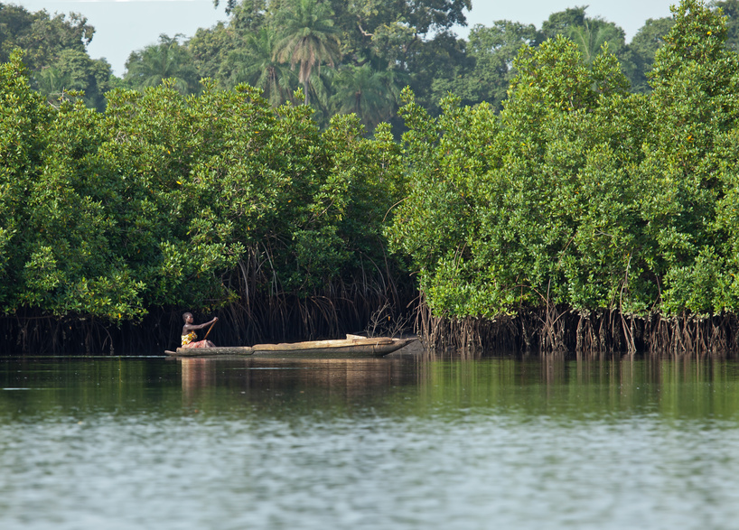 Gambia Reisen