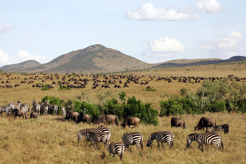 Tansania - Kilimanjaro-Umrundung mit Silvester-Gipfelaufstieg