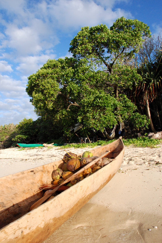 Madagaskar - Regenwald, Lemuren und Tropenstrand