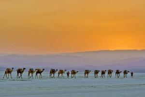 Äthiopien • Djibouti - In die Wüste Danakil