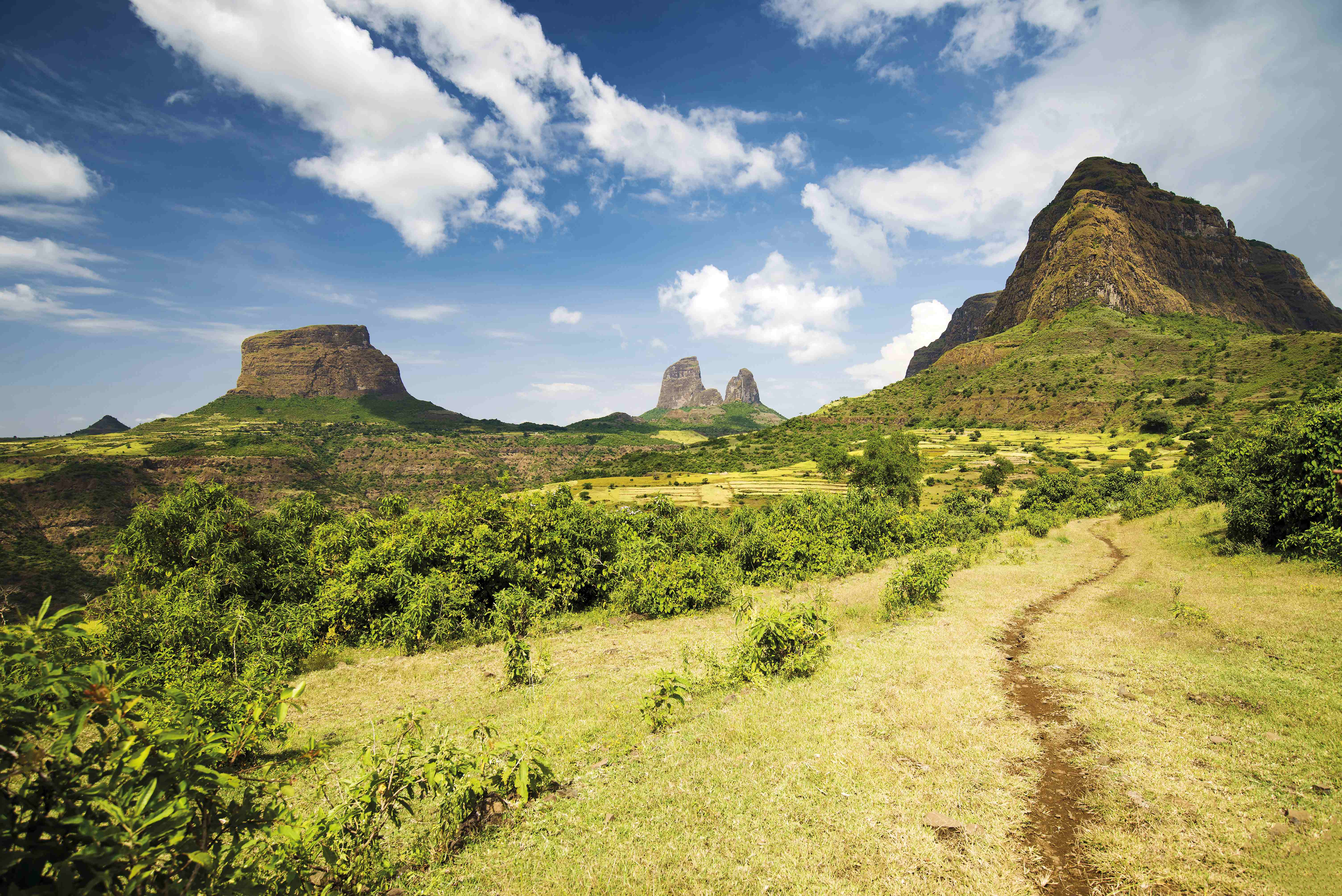 Ethiopia country. Парк Энтото Эфиопия. Эфиопия гора рас-Дашен. Достопримечательности Эфиопии гора рас Дашен. Горы Эфиопии.