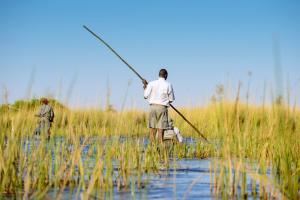 Botswana • Sambia - Auf Pirsch in der Savanne und im Einbaum durchs Delta