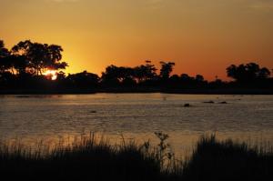 Botswana • Sambia - Auf Pirsch in der Savanne und im Einbaum durchs Delta