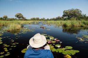 Botswana • Simbabwe - Im Reich der großen Ströme – Okavango, Chobe und Sambesi
