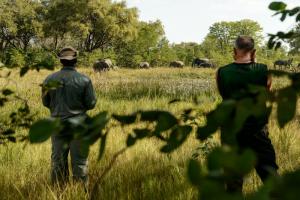 Botswana • Simbabwe - Im Reich der großen Ströme – Okavango, Chobe und Sambesi
