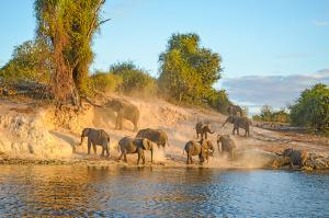 Donnernder Rauch und Okavango-Delta