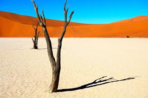 Entdeckungsreise Namibia