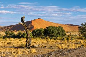 Entdeckungsreise Namibia