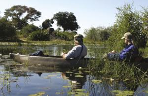 Grosse Botswana-Expedition