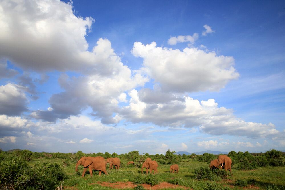 Kenia - Die Savanne und das Hochland aktiv entdecken | Reise #7595