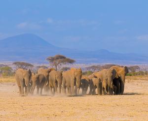 Kenia - Jenseits von Afrika 