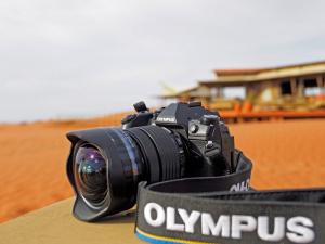Kenia - Olympus-Fotocampus in der Masai Mara