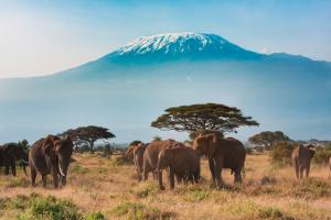 Kenia: Höhepunkte