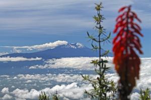 Kenia • Tansania - Mount Kenya, Safari und Kilimanjaro