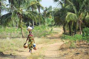 Magisches Westafrika: Benin-Togo-Ghana