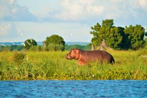 Malawi & Sambia : Höhepunkte