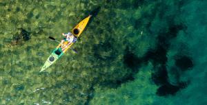 Malawi • Sambia - Tiere, Baden, Teeplantagen