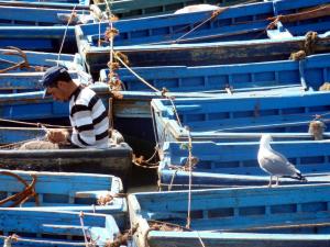 Marokko - Königsstädte, Wüste und Meer