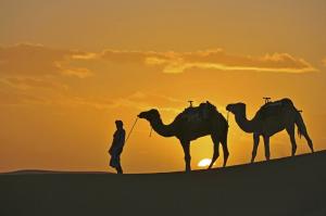 Marokko - Medinas, Oasen und „Berber-Whiskey“