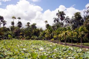 Mauritius  -  Badeverlängerung am Indischen Ozean im Trou aux Biches