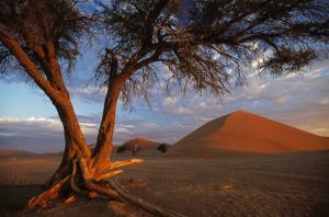 Namibia & Botswana: Die ausführliche Reise mit Victoria-Fällen