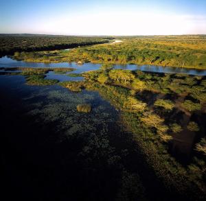 Namibia & Botswana: Die ausführliche Reise mit Victoria-Fällen