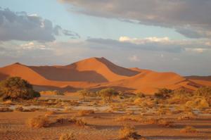 Namibia - Atlantik, Dünen und wilde Tiere