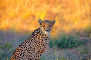 Namibia - Namibia aktiv