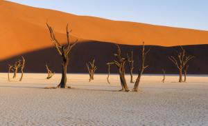 Namibia - Olympus NamibiaXperience