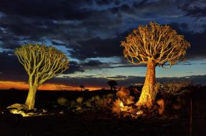 Namibia - Vom Etosha-Nationalpark zum Fish-River-Canyon