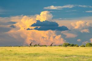 Namibia - von Windhoek zu den Victoria-Fällen