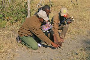 Namibia  -  Naturparadies Caprivi