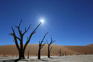 Namibia • Botswana • Sambia - Wüste, Felsmalereien und Victoriafälle