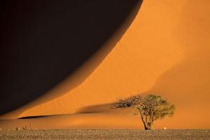 Namibia • Botswana • Simbabwe - Afrika von seiner schönsten Seite