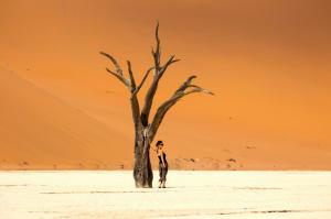 Namibia • Botswana • Simbabwe - Afrika von seiner schönsten Seite