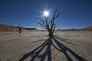 Namibia • Botswana • Simbabwe - Namibias Tierwelt im Fokus