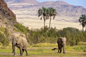 Namibia • Botswana • Simbabwe - Zu Gast im Land der Extreme