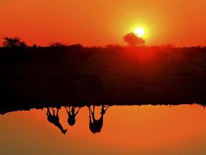 Namibia • Botswana • Simbabwe - Vom Wüstenmeer zum Sambesi Namibia • Botswana • Simbabwe - Vom Wüstenmeer zum Sambesi