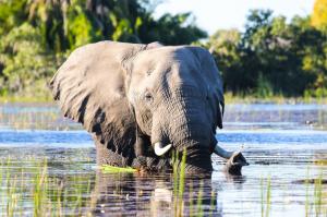 Namibia • Botswana • Simbabwe - Vom Wüstenmeer zum Sambesi Namibia • Botswana • Simbabwe - Vom Wüstenmeer zum Sambesi