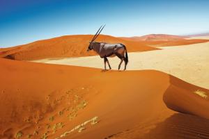 Namibia: Mit Flair