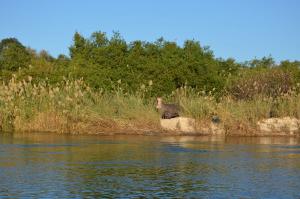 Namibias Norden - Kunene und Kavango