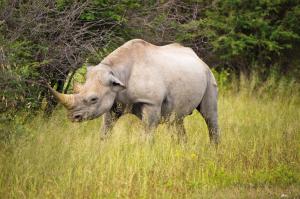 Namibias Norden - Kunene und Kavango