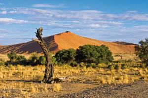 Namibias Wüsten und Wildnis für Selbstfahrer