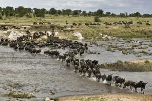 Nationalparks in Kenia und Tanzania