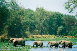Naturschätze im südlichen Afrika