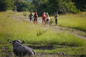 Ruanda - Uganda - Vom Land der tausend Hügel bis zur Quelle des Nils Ruanda - Uganda - Vom Land der tausend Hügel bis zur Quelle des Nils