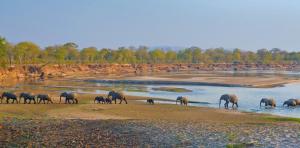 Sambia • Malawi • Mosambik • Südafrika - Entlang der Handelsroute Sambia • Malawi • Mosambik • Südafrika - Entlang der Handelsroute